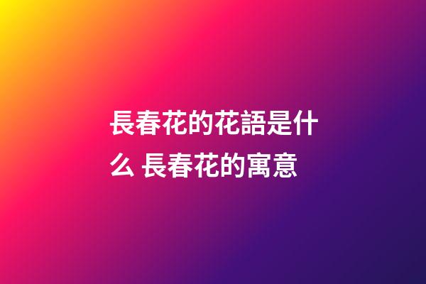 長春花的花語是什么 長春花的寓意